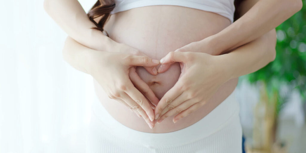 proses kehamilan