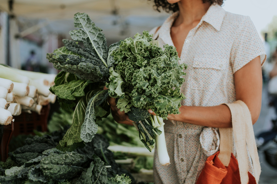 jenis sayur kale