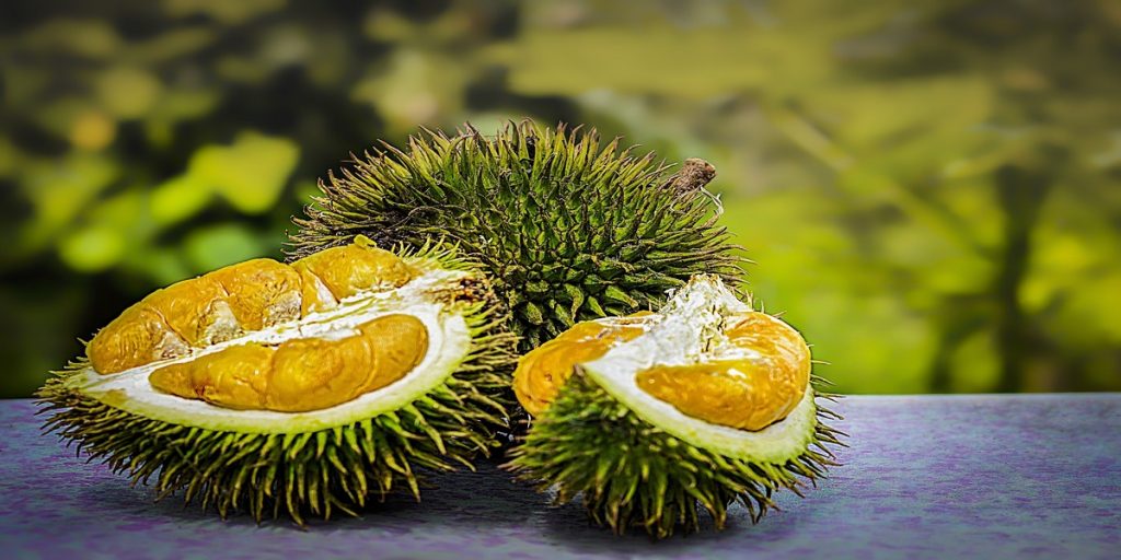 kalori durian