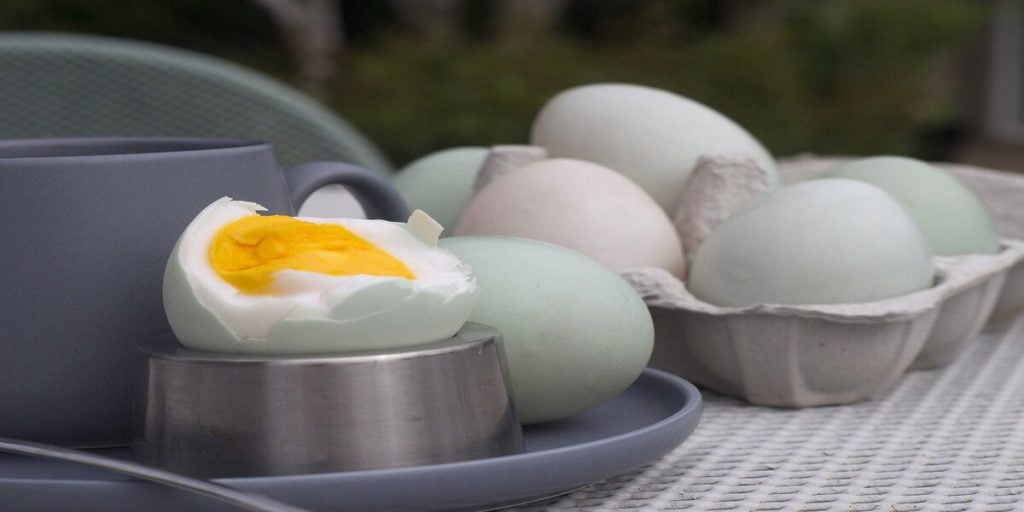 Khasiat telur bebek untuk wanita