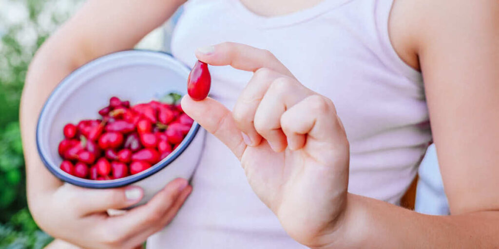 manfaat buah goji berry