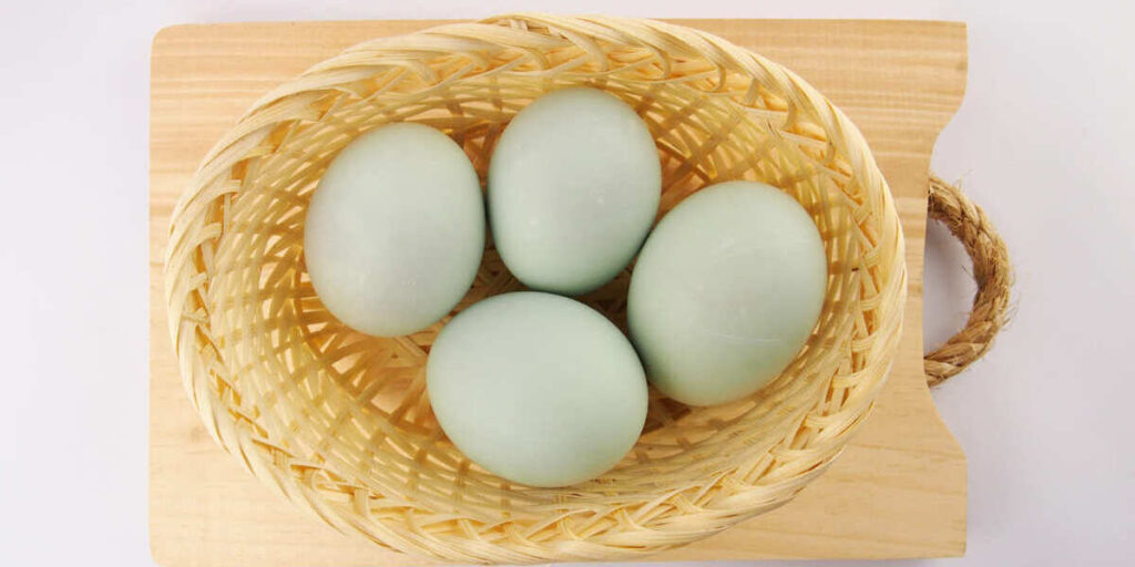 manfaat telur bebek untuk wanita