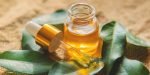 13 Manfaat Tea Tree Oil, Ternyata Bisa Mengatasi Ketombe!