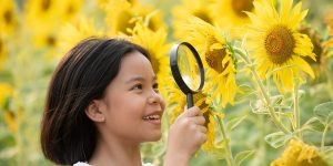 aspek perkembangan anak usia dini