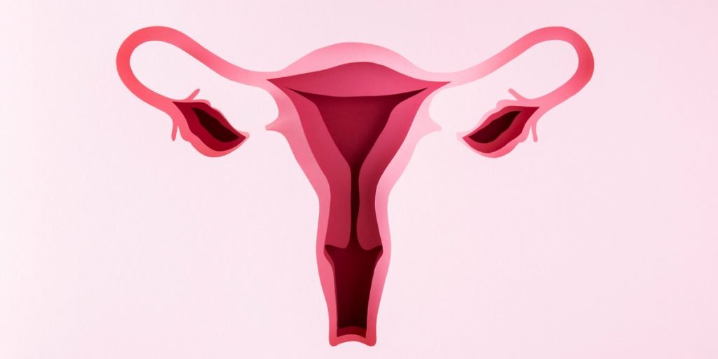 urutan organ reproduksi wanita