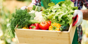 sayuran yang bisa dimakan mentah