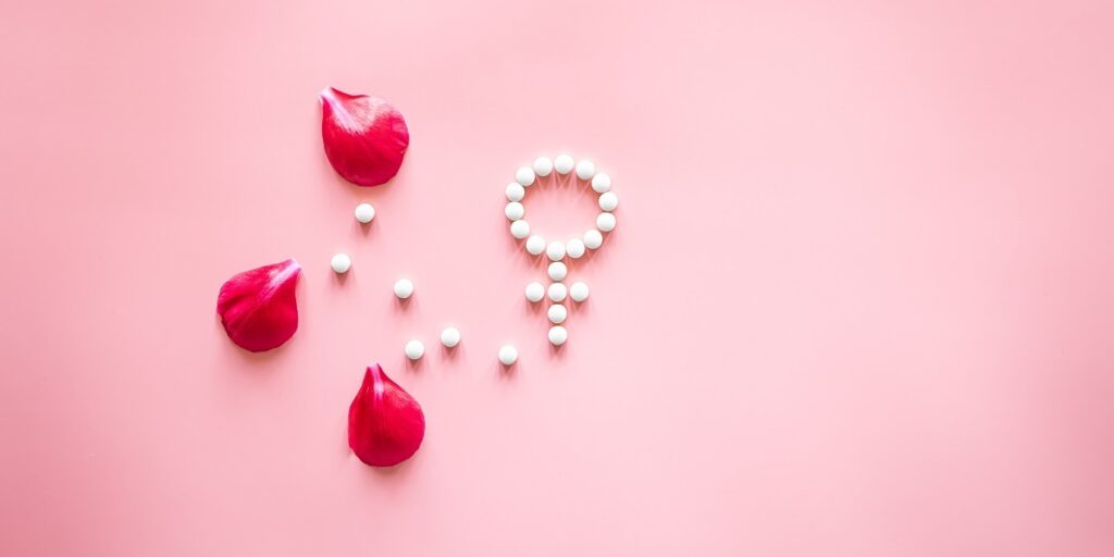 menstruasi pada wanita