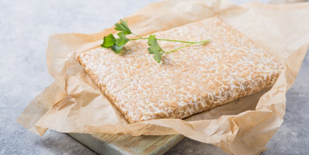 nutrisi tempe