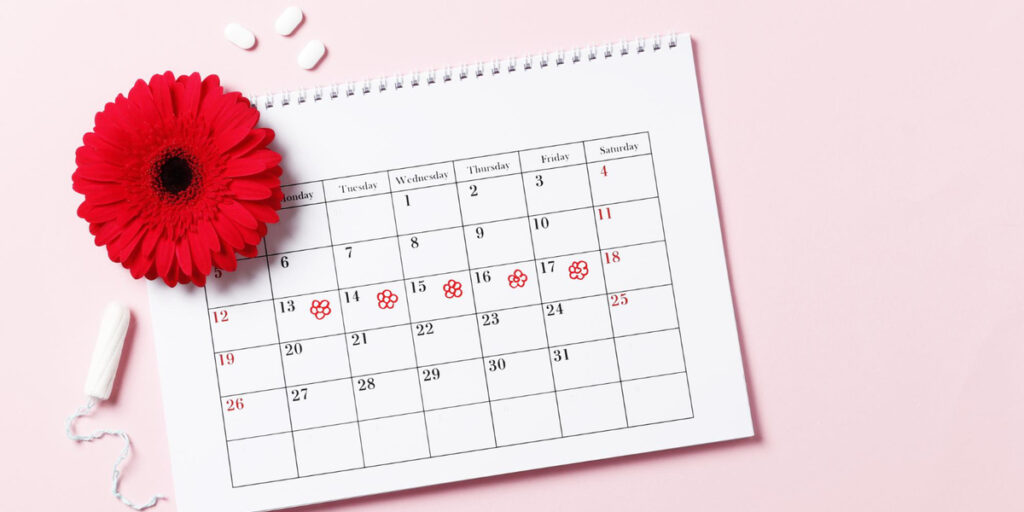proses terjadinya menstruasi