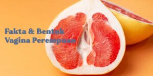 macam bentuk vagina