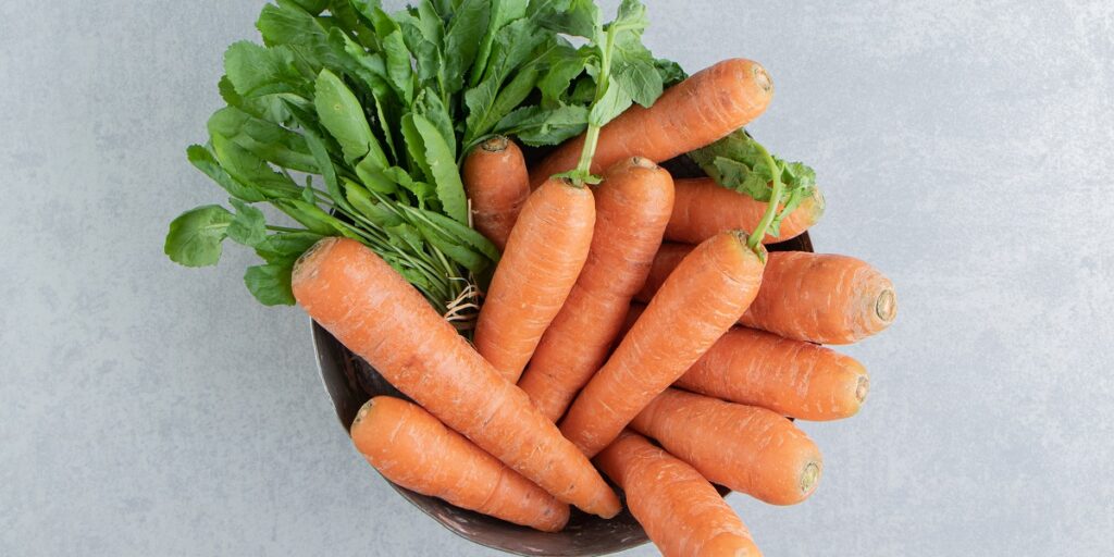 fakta nutrisi wortel