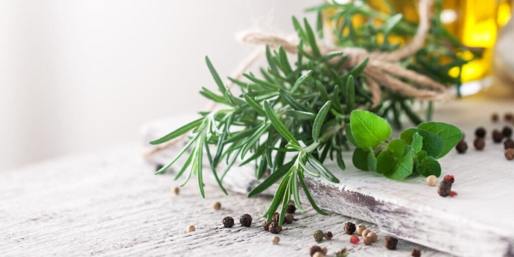 manfaat buah manjakani