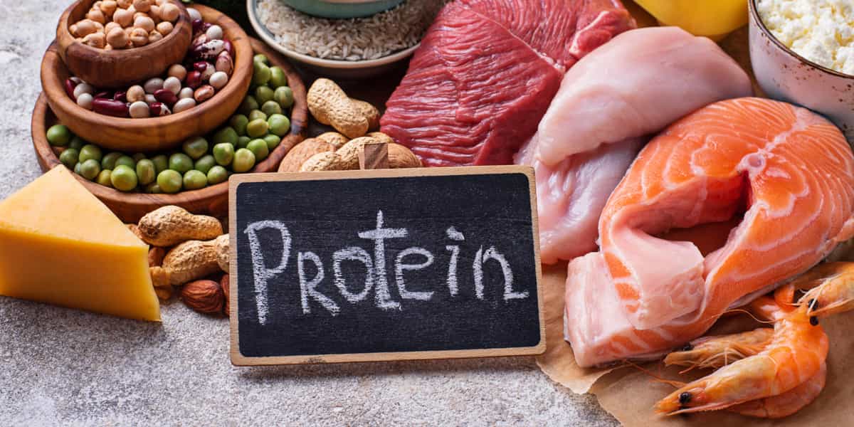 daftar makanan kaya protein