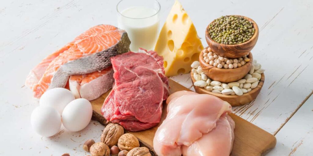 makanan kaya protein
