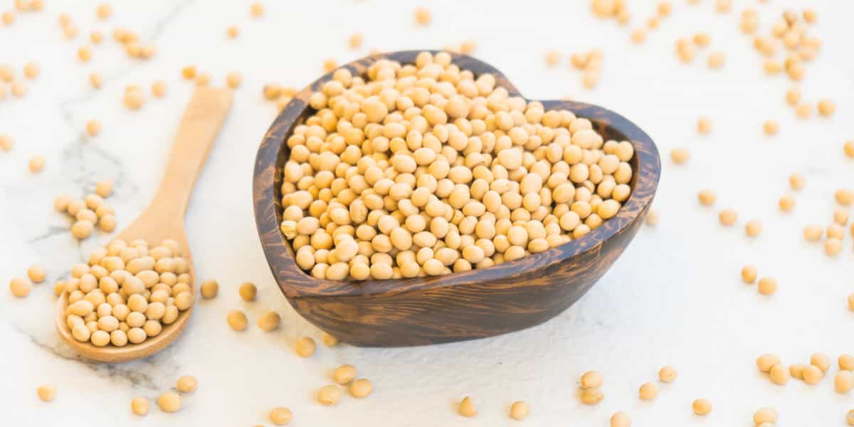 manfaat kacang kedelai untuk promil dan kesehatan