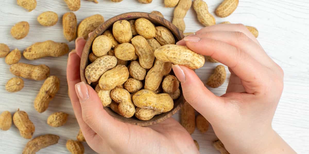 manfaat kacang tanah rebus untuk promil