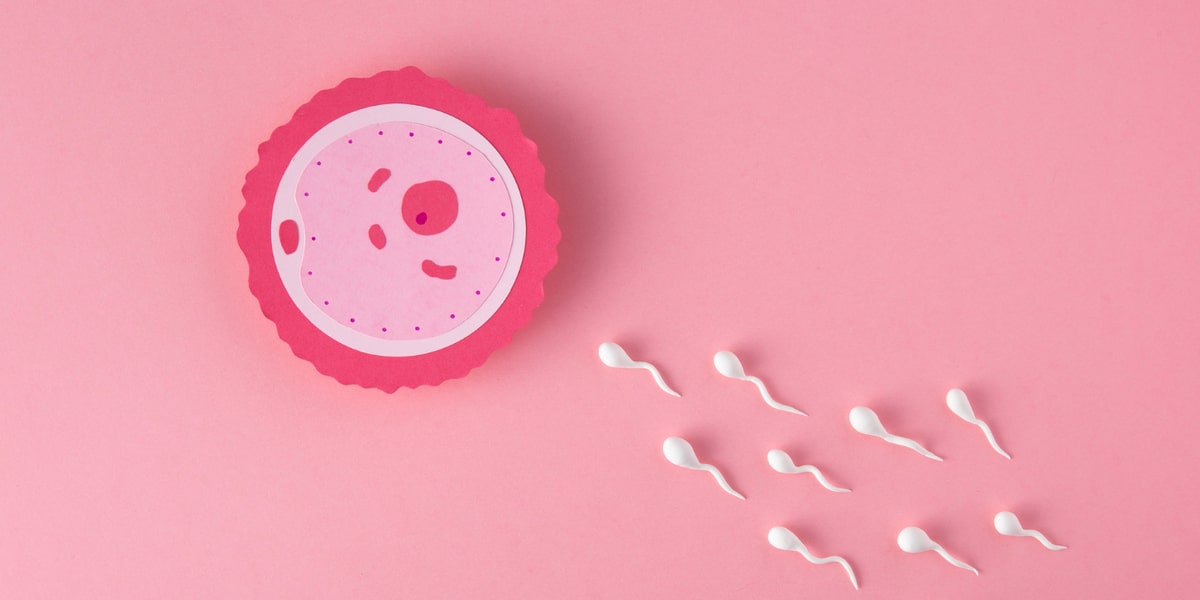 manfaat minuman diva untuk promil dapat meningkatkan kesuburan