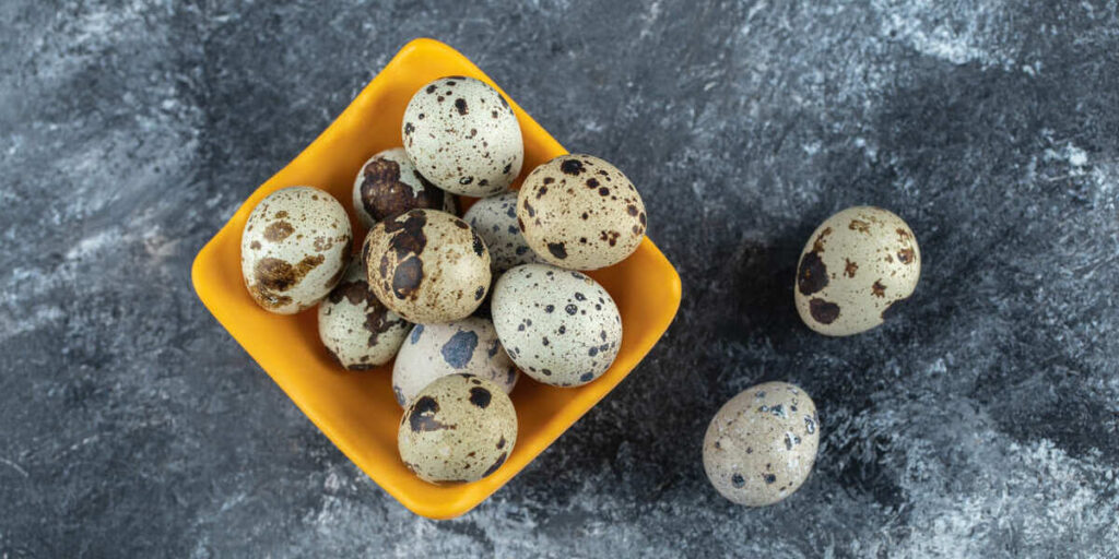 manfaat telur puyuh untuk program hamil