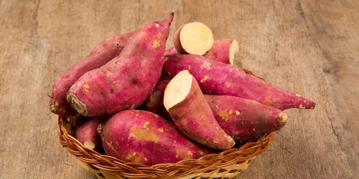 manfaat ubi jalar untuk promil kesuburan kesehatan