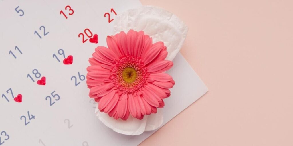 pantyliner adalah produk kewanitaan