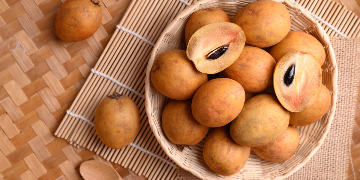 reset olahan buah sawo