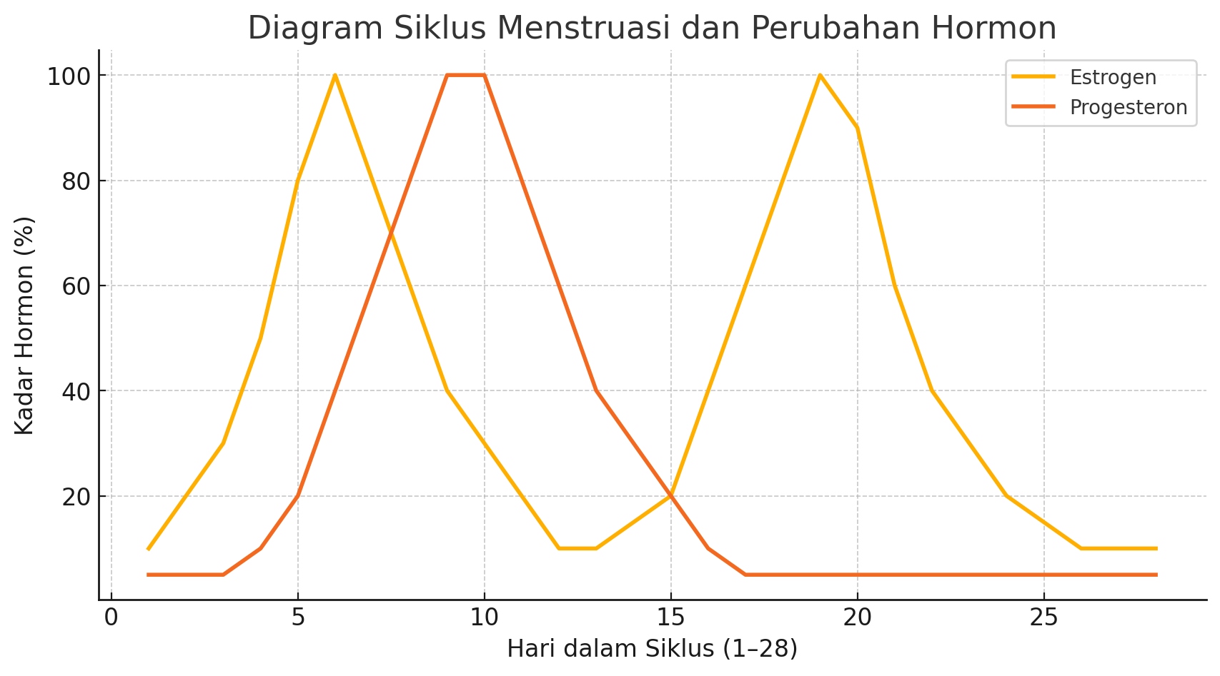 diagram siklus menstruasi